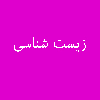 نمونه سوال پاسخ تمرین کتاب زیست شناسی پیش ی 4