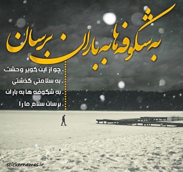 عکس درباره کویر