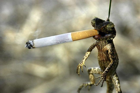 آخر و عاقبت سیگار کشیدن