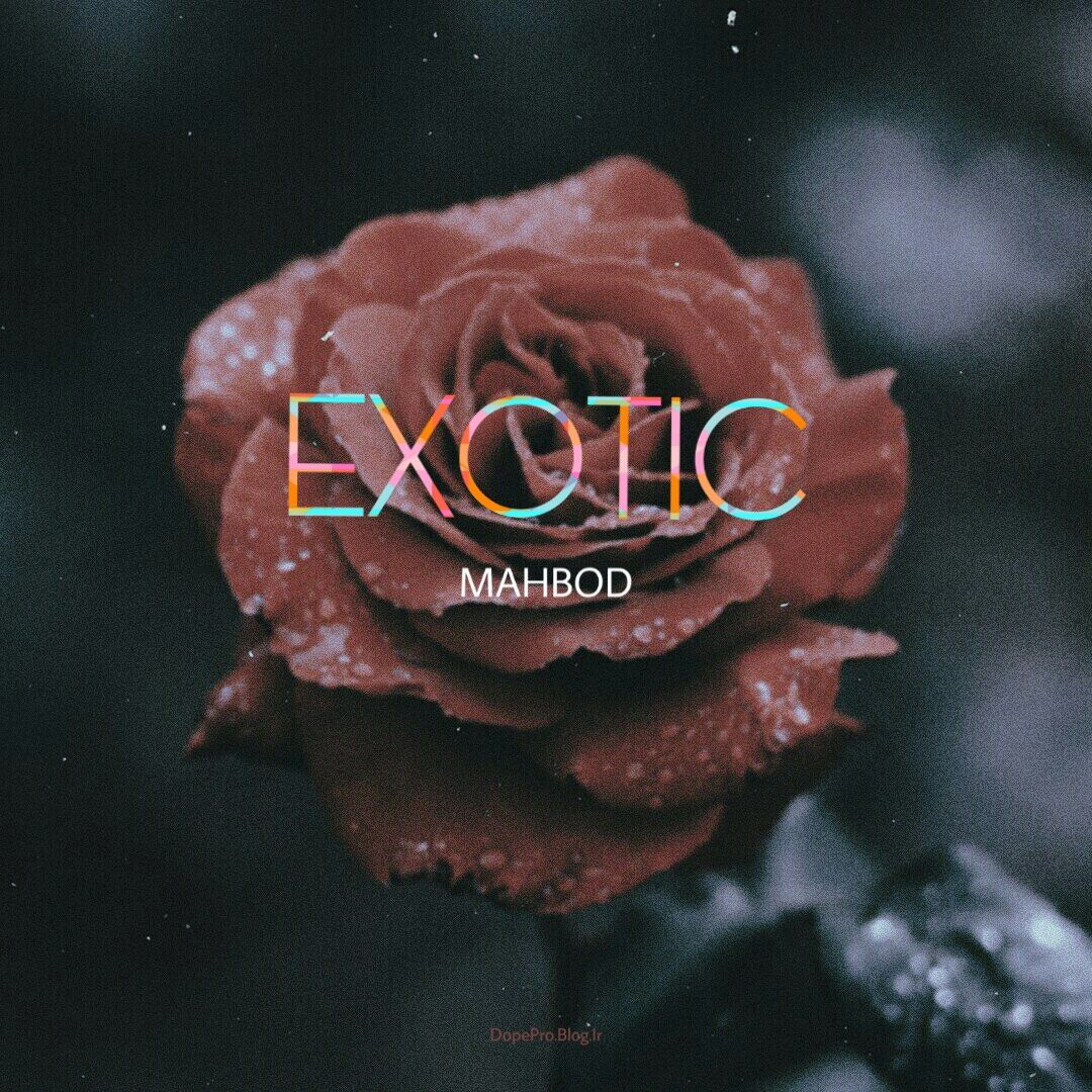 Mahbod - Exotic