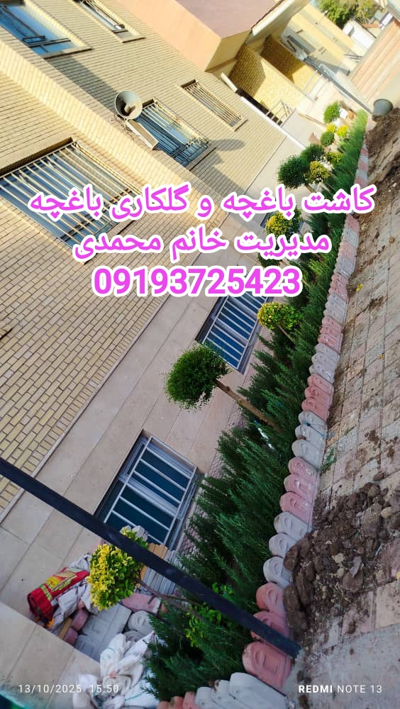 رسیدگی به گیاهان آپارتمانی تعویض خاک گلدان الهیه تهران مدیریت خانم محمدی 09196552511