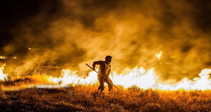 یک هکتار از مزارع گندم فلارد لردگان در آتش سوخت