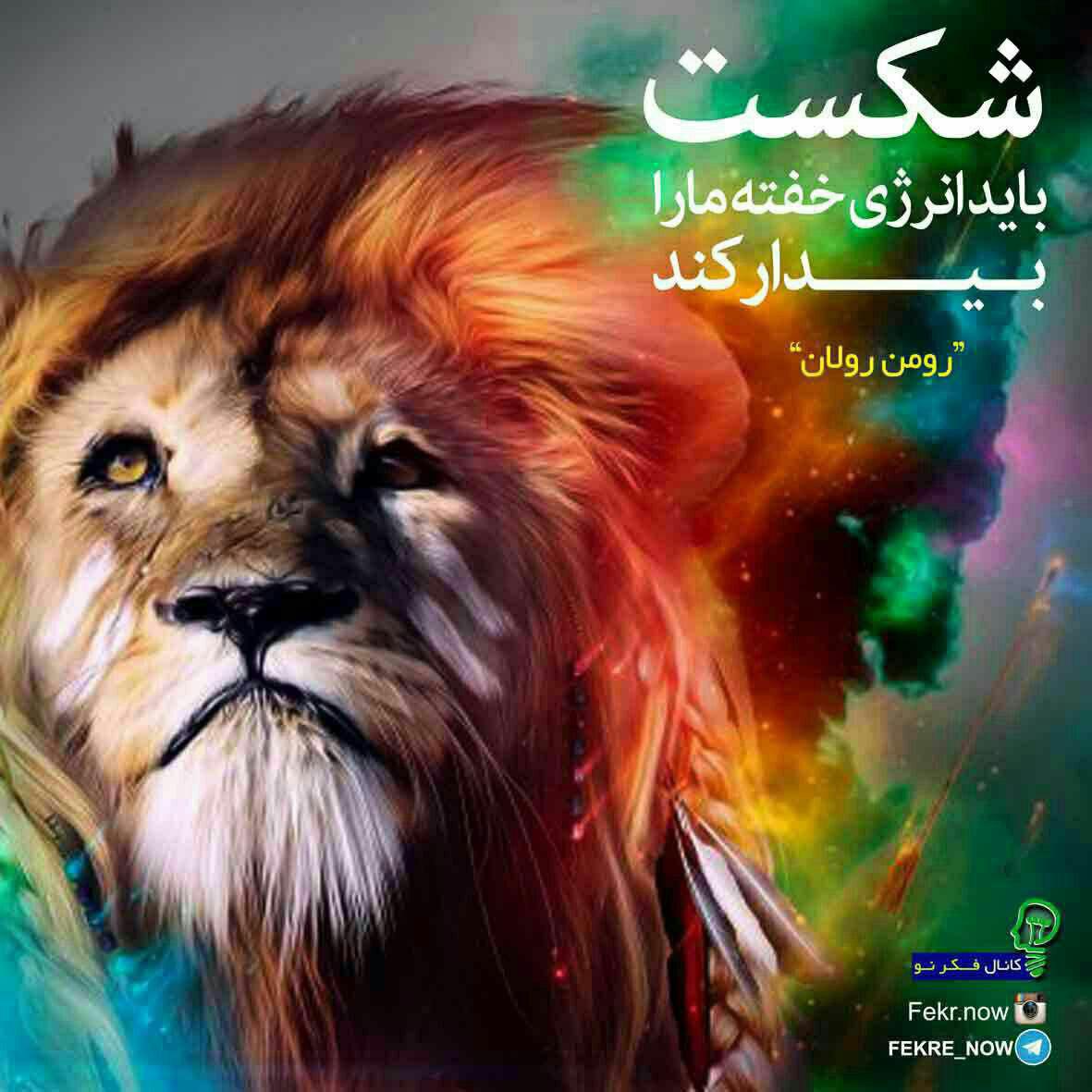 شکست شکست