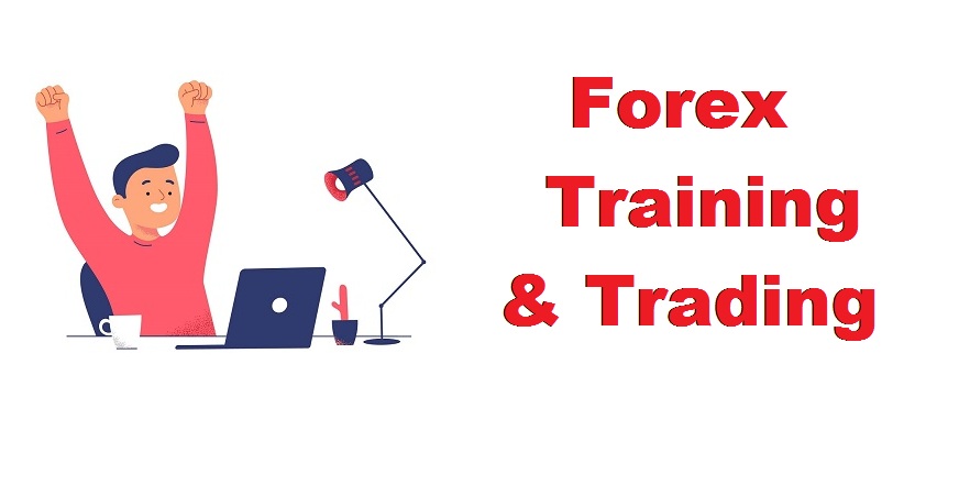 forex training and trading vip