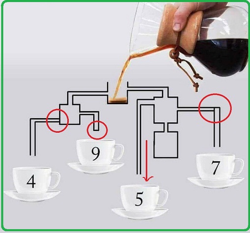 جواب صحیح معمای کدام فنجان زودتر پر میشود