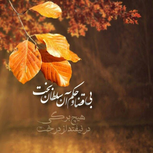 دل نوشته 3 دل نوشته 3
