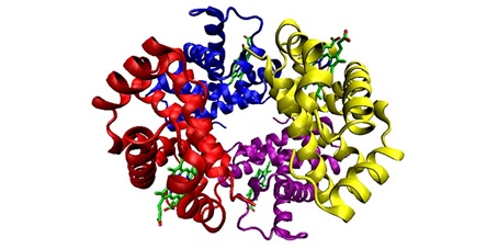 خلاصه ای درباره پیش بینی ساختار سه بعدی پروتئین
