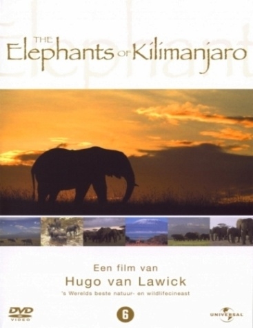 فیل های کلیمانجارو