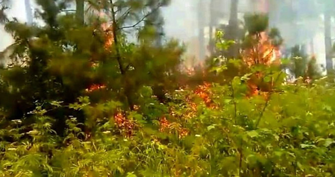 آتش سوزی مهیب در جنگل های شهرک صنعتی رشت