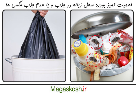 برای پیشگیری از ورود مگس به خانه، سطل های زباله را تمیز کنید