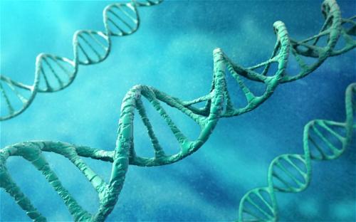 تاثیر عمل جراحی مادر بر DNA نسل بعد؟