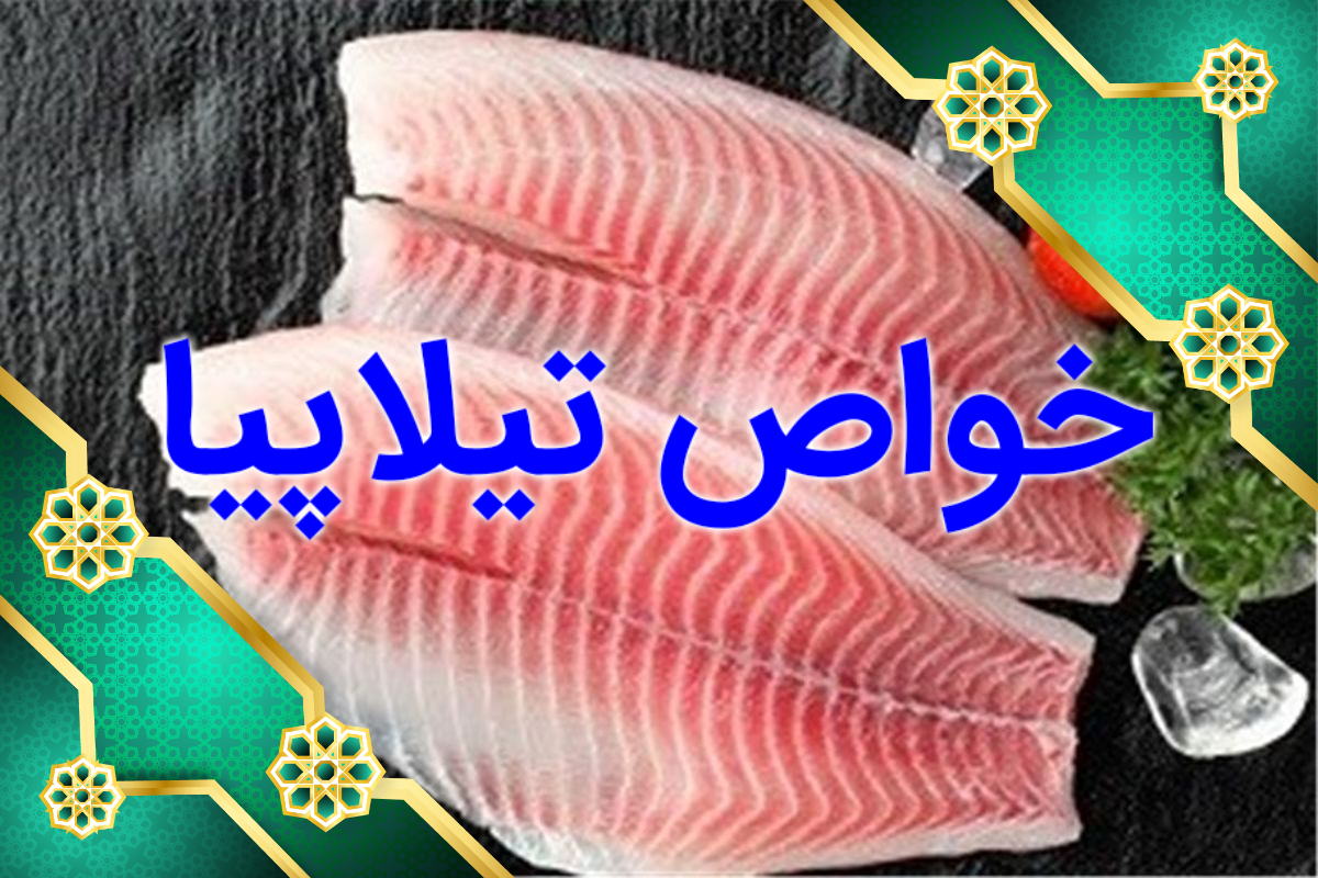 خواص ماهی تیلاپیا را بهتر بشناسید