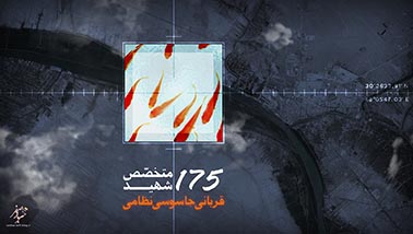 175 غواص شهید