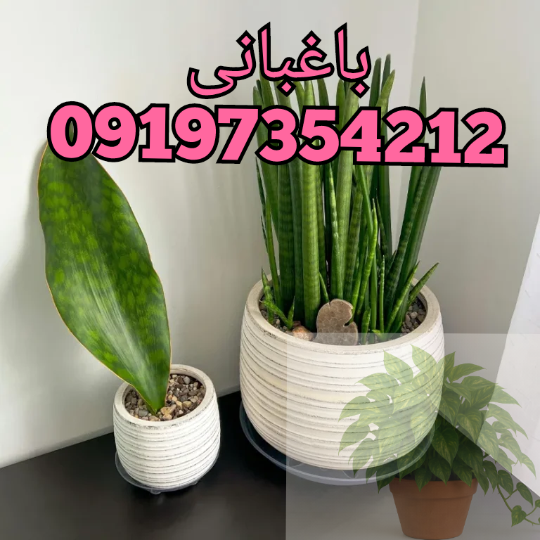 gardening\باغبانی 09196837360