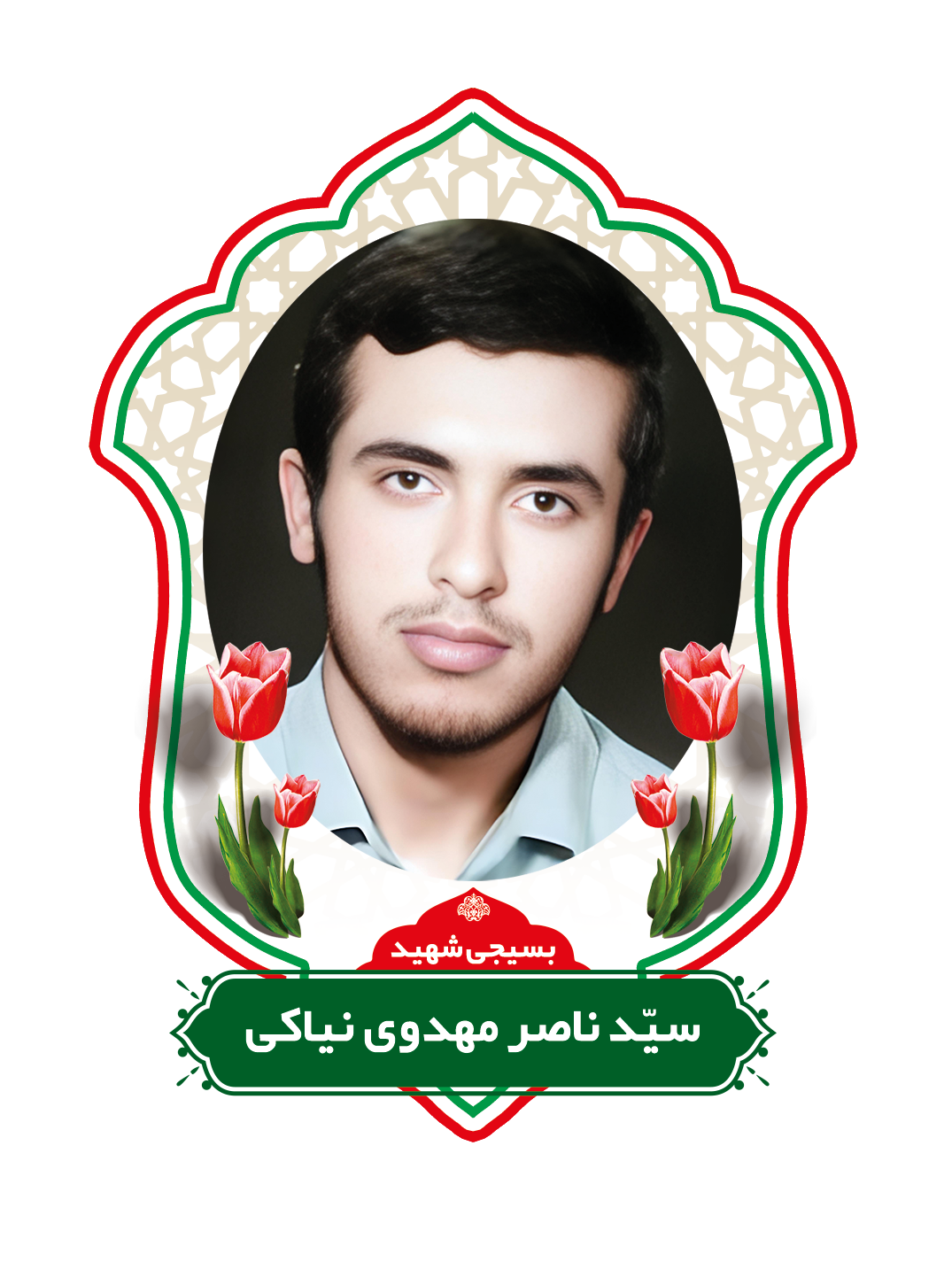 زندگینامه شهیدسیدناصرمهدوی نیاکی