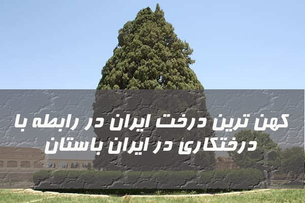 کهن ترین درختکاری در ایران باستان