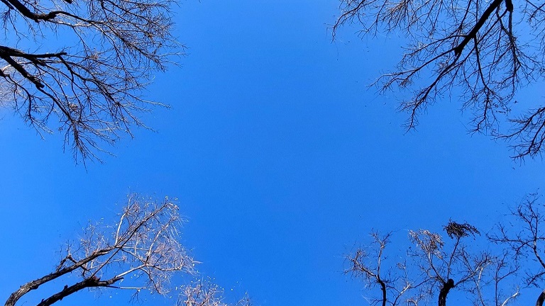 رویای پرواز