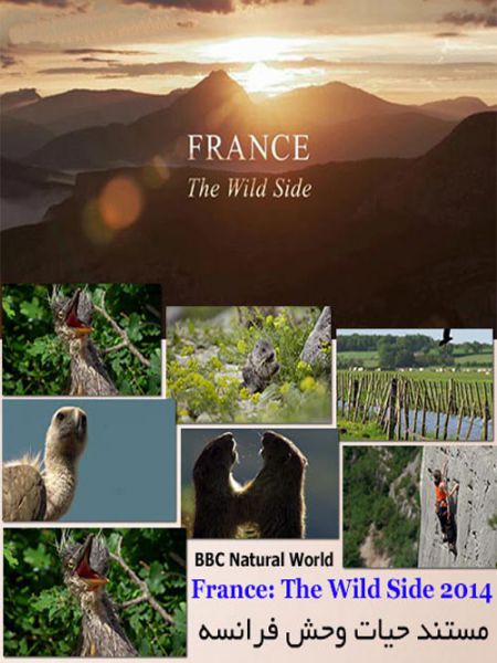 مستند Natural World France The Wild Side 