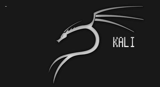 Kali Linux (کالی لینوکس)