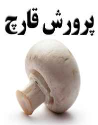 کتاب آموزش پرورش قارچ خوراکی کتاب آموزش پرورش قارچ خوراکی