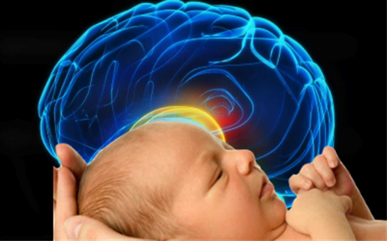عواملی که باعث کوچک شدن مغز کودک می‌شود 