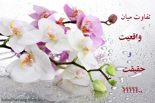 واقعیت یا حقیقت؟ واقعیت یا حقیقت؟