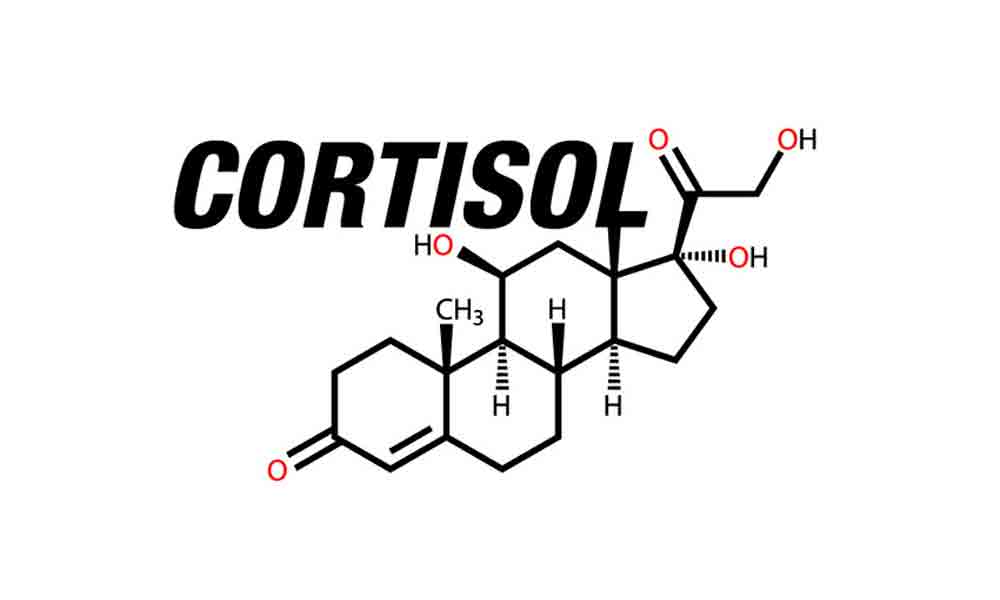 کورتیزول چیست؟ و چه اثری دارد؟