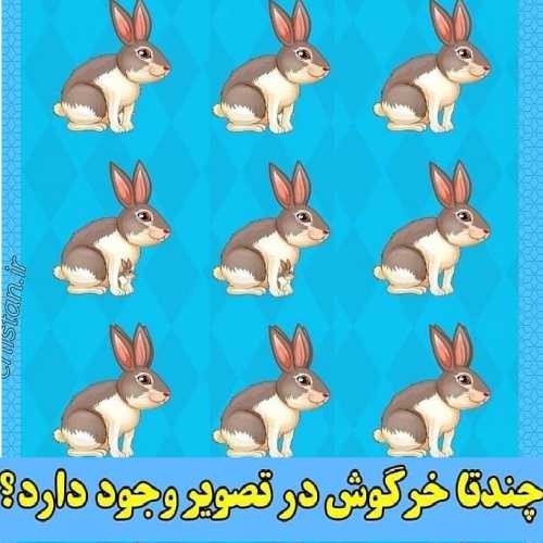 جواب هوش تصویری چند تا خرگوش در تصویر وجود دارد؟