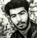 شهید سبزواری-حسین