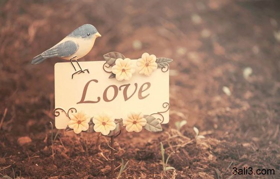 love mypictures