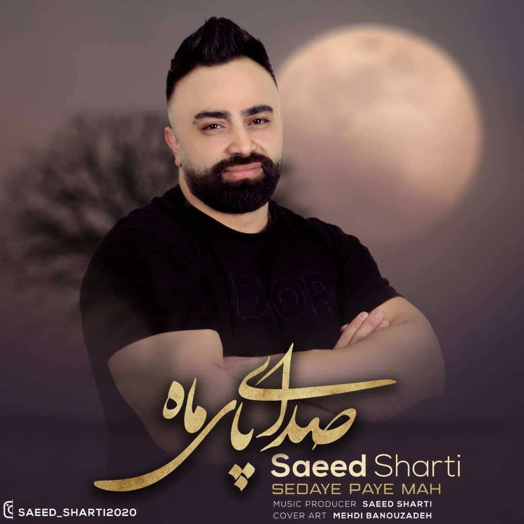 صدای پای ماه