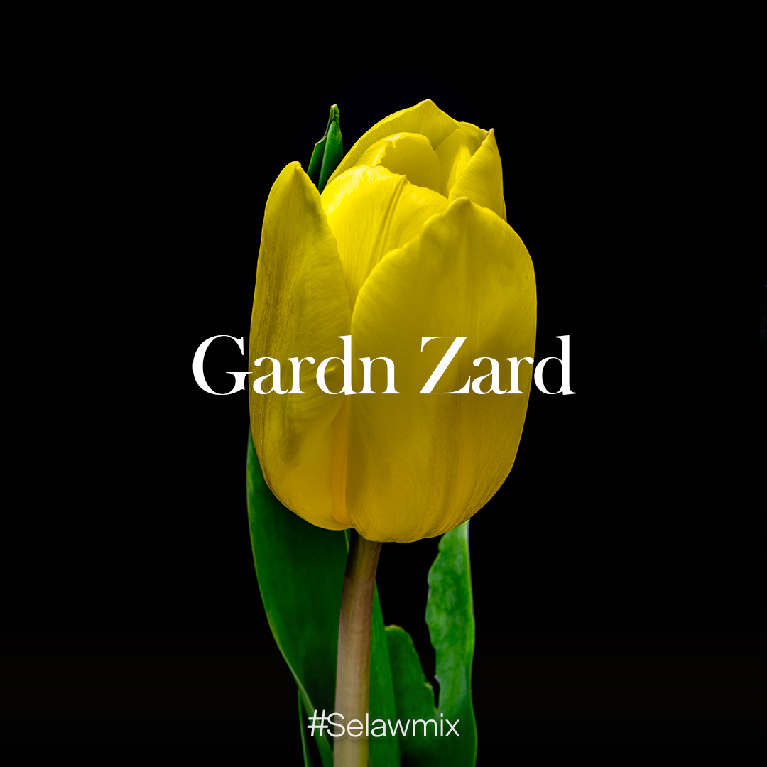 Remix Kurdi Gardn Zard