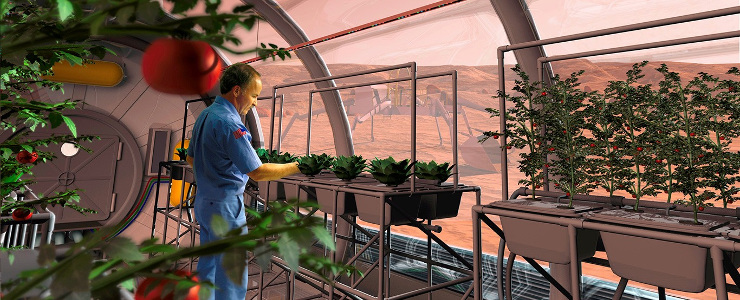 ربات باغبانی که می‌تواند برای فضانوردان مواد غذایی تازه پرورش دهد