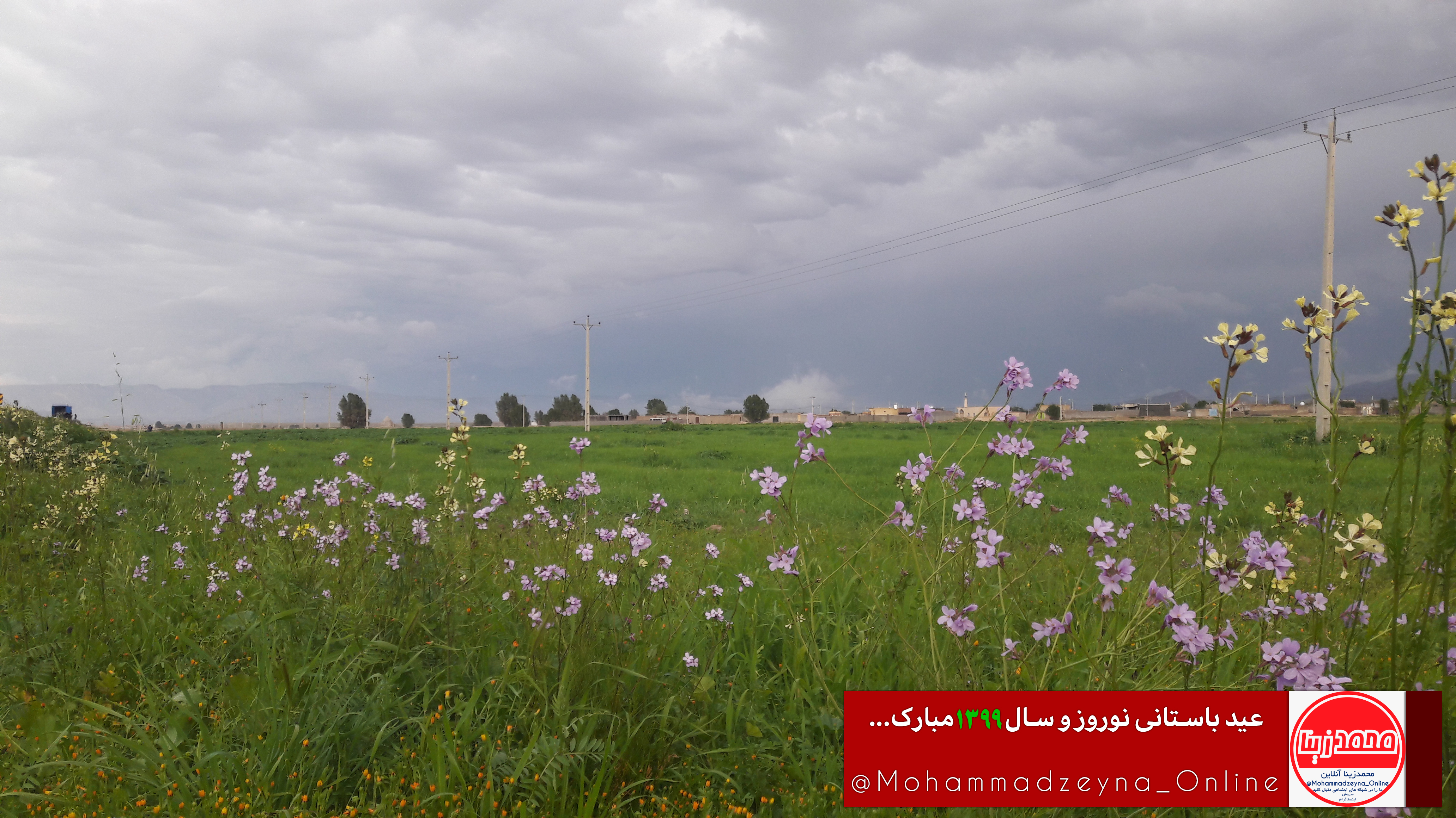 توضیح عکس ۳