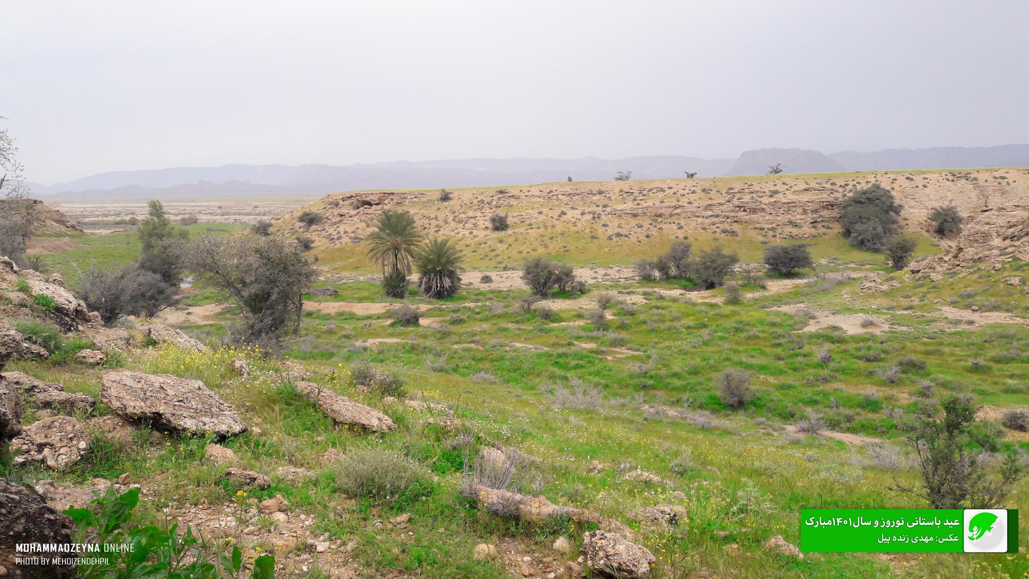 توضیح عکس ۲