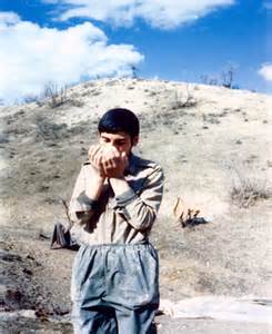 اشاره اجمالیّه به تفسیر سوره شریفه توحید