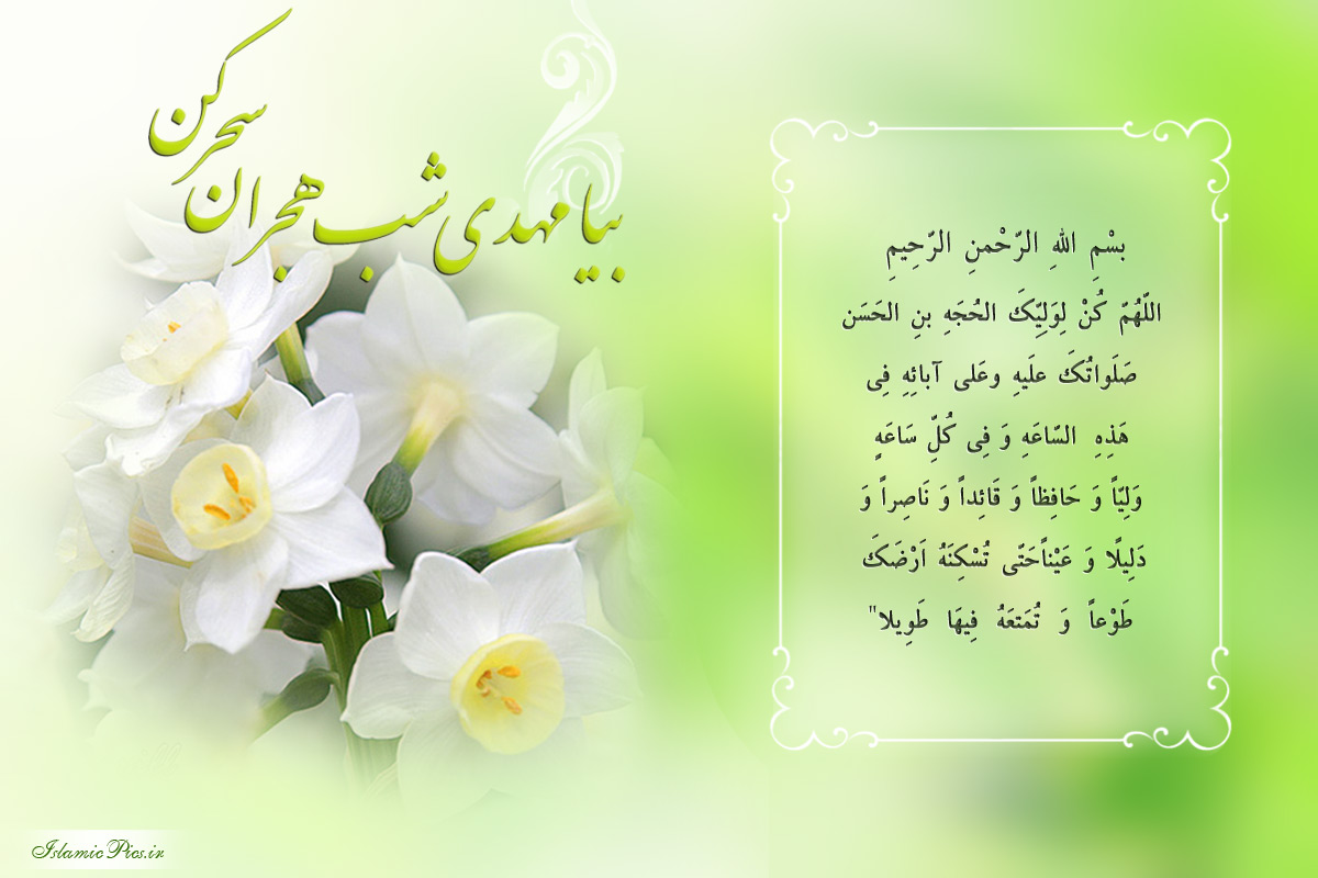 وقتی امام صادق(ع) آرزوی خدمت به امام زمان(عج) دارند