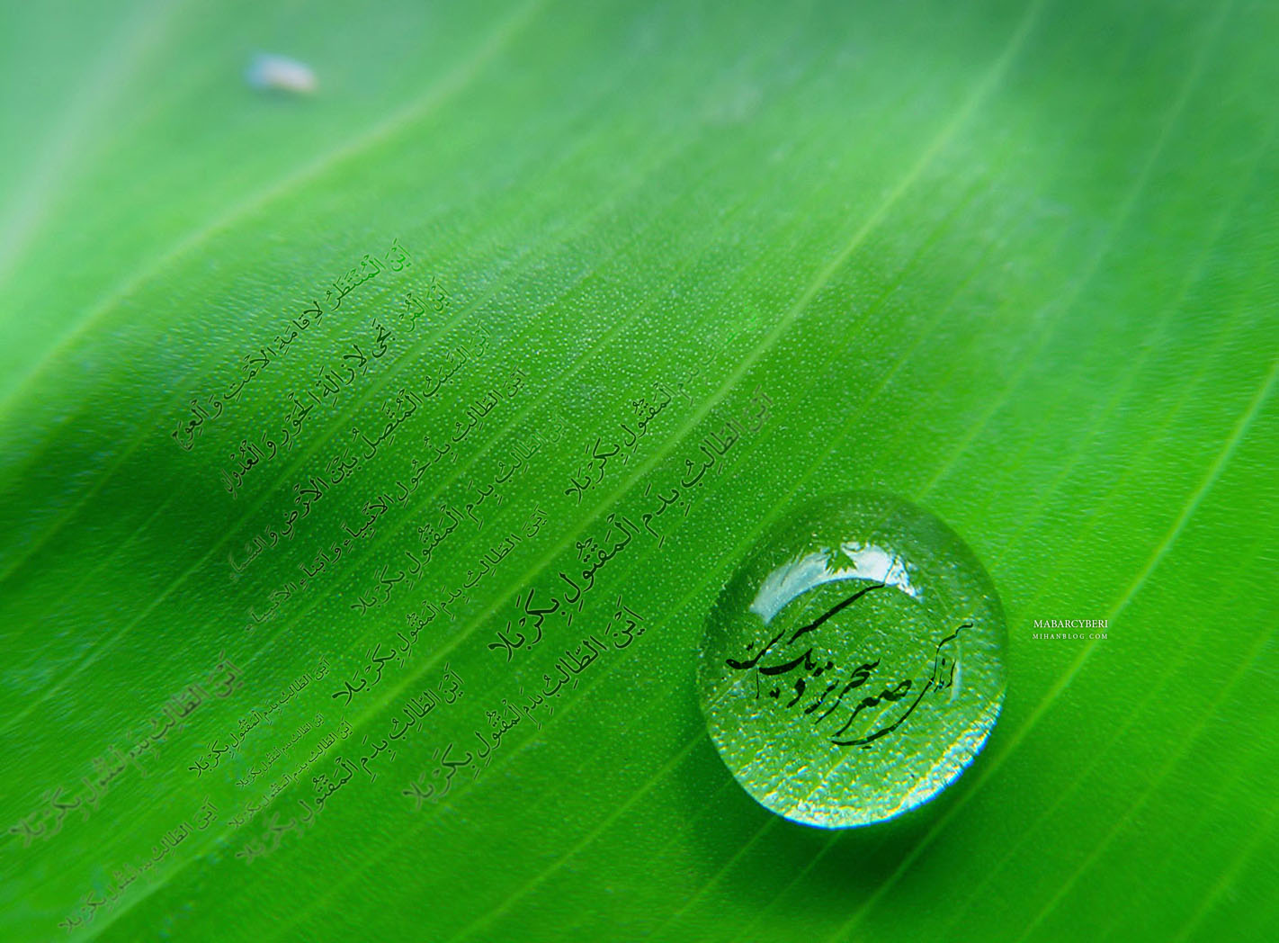 زندگی سعادتمند نیازمند مبنا قرار دادن اصول مهدوی است