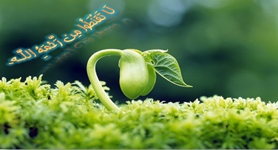 لاتقنطوا من رحمه الله