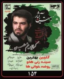 میثم مطیعی1