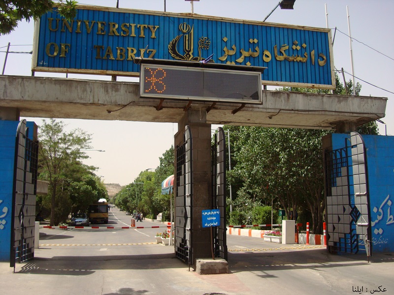 دانشگاه تبریز