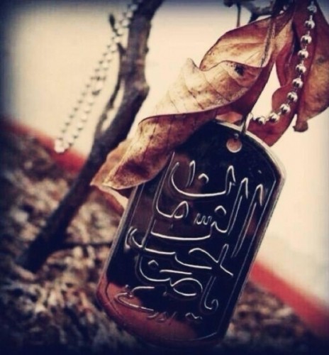 آخرین اعزامی