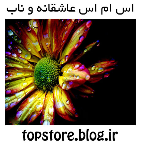 اس ام اس عاشقانه و ناب