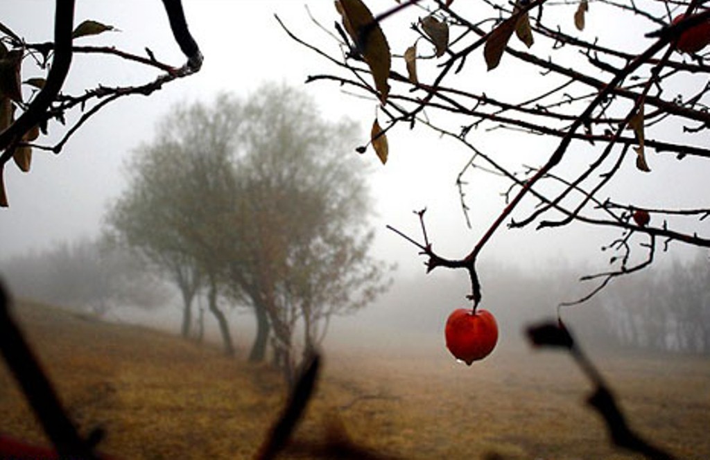تنهایی
