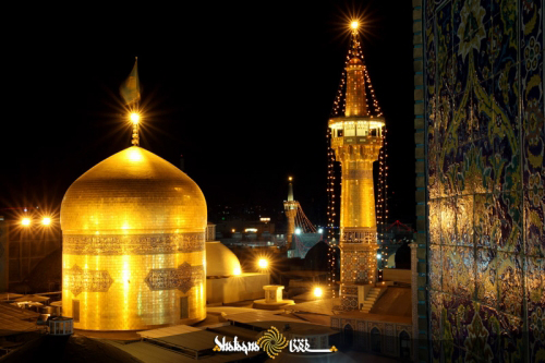 تفکر نقاد در سیره رضوی