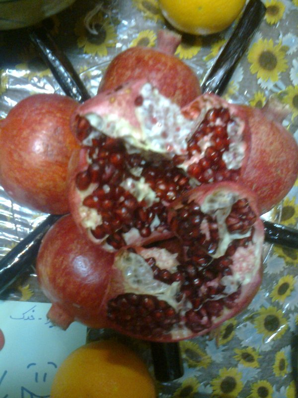 شب یلدای خوابگاه دختران