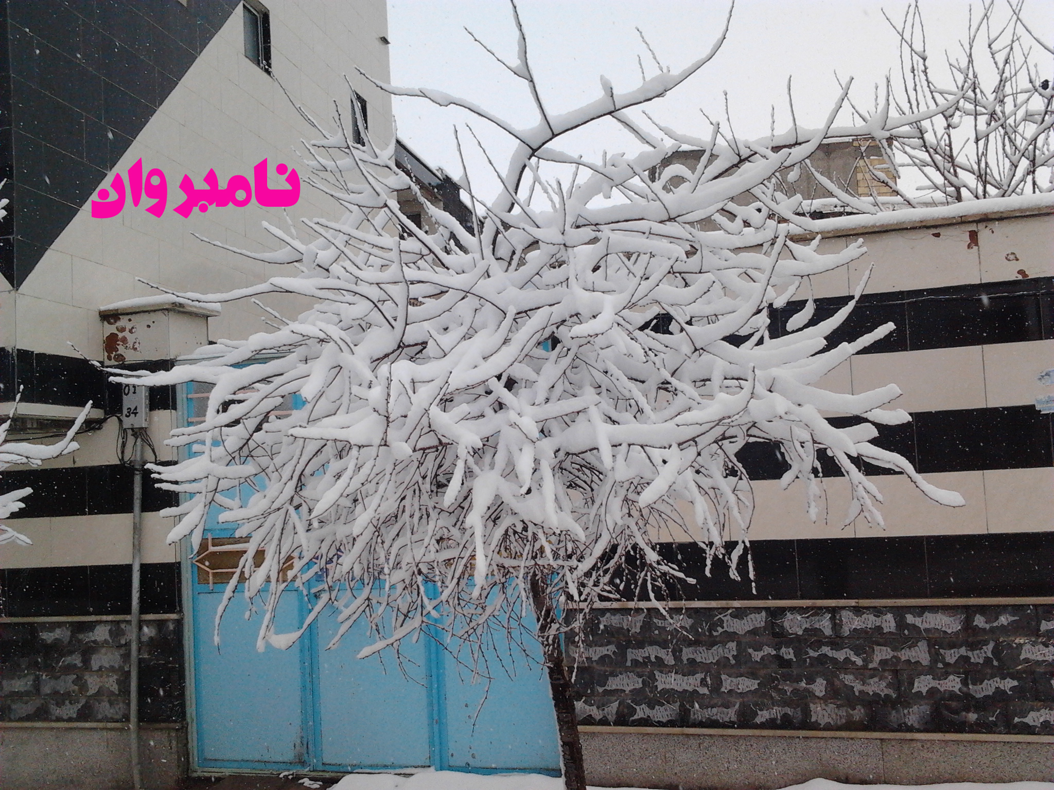 sharabian
