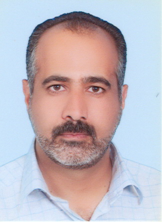 سید علی میرافضلی