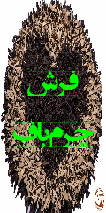 بنر تبلیغاتی چرم باف
