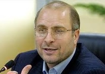 سیاسی